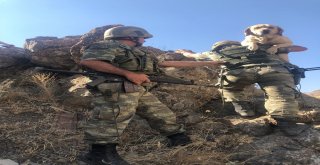 Mayın Arama Köpeği Yay Operasyonda