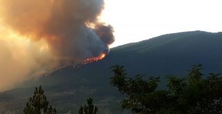 Kastamonuda Orman Yangını
