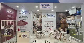 GÜNEY YARIM KÜRE TÜRK FINDIĞI İLE BULUŞTU