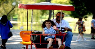 Kurban Bayramında Hayvanat Bahçesine Yoğun İlgi