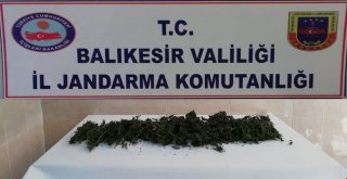 Jandarmadan Uyuşturucu Operasyonu