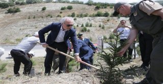 Başkan Saraçoğlu, Fidan Dikip Can Suyu Verdi