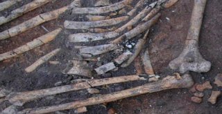 4 Bin 500 Yıl Öncesine Ait Kemiklerde Gizemli İzler