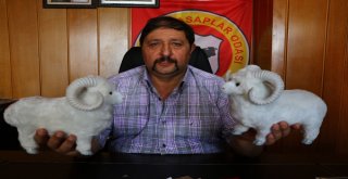 Kasaplar Odası Genel Başkan Yardımcısından Marketlere Minyatür Koçlu Gönderme