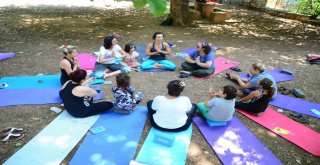 Koruyucu Aileler Ormanada Kamp Yaptı