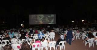 Yeşilçam Filmleri, Dokumaparkta