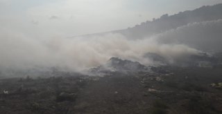 Erdek Çöplüğündeki Yangın Ormana Sıçradı