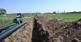 Başkan Bozkurt, Çalışmalarına Hız Verdi