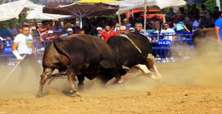 Kafaca Arenası Toz Duman