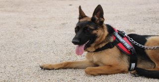 Hırsızlardan Kurtulup 112Ye Sığınmış