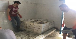 Denizi Olmayan Manisadan Uzak Doğuya Balık İhracatı