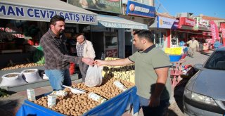 Cevizin Anavatınında Hasat Başladı