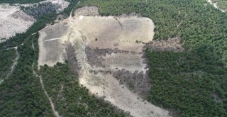 Vezirhanda Çimento Fabrikasına Tepki