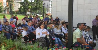 Kosovada Sünnet Coşkusu