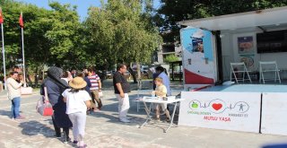 Sağlık Bakanlığı Uyardı Kist Hidatik Hastalığından Korunun