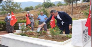 Kaymakam Sezgin, Şehit Mezarlarına Karanfil Bıraktı