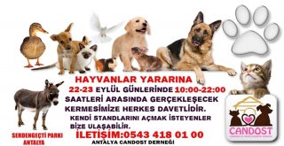 Antalyada Sokak Hayvanları Yararına Kermes Düzenlenecek