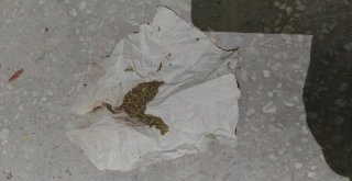 Samsunda Uyuşturucu Operasyonu: 12 Gözaltı