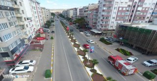 Balıkesirde Refüjler Çiçek Açtı