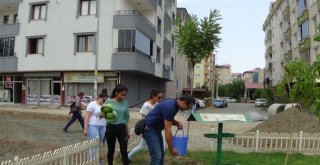 Iğdırda Sokak Hayvanları Unutulmadı