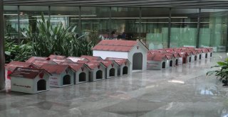 Vestel 4 Ekim Dünya Hayvanları Koruma Gününe Dikkat Çekti