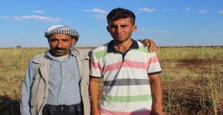 (Özel Haber) Çobanlık Yaparken Üniversiteye Hazırlanan Musa Diş Hekimliğini Kazandı