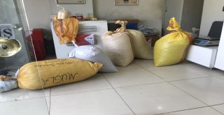 Kargolar Ve Otogarlar Fındık Çuvalları İle Doldu