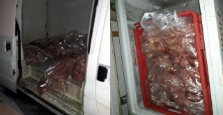 Mersinde 1,5 Ton Kokmuş Tavuk Eti Ele Geçirildi