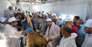 Kursiyerler Kurban Kesimi Gerçekleştirdi