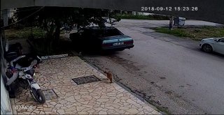 6 Dakikada Motosikleti Çalan 2 Hırsız Kaza Yapınca Yakalandı