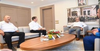 Çukurovada Akdeniz Meyve Sineği Alarmı