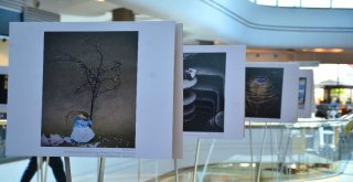 “Sanat Kareleri” Fotoğrafları Kahramanmaraş Piazzada Sergilenecek