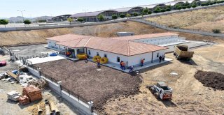 Sokak Hayvanları İçin Yapılan Barınak Tamamlandı