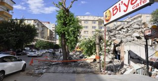 Molozlar Ağaçlara Zarar Verdi