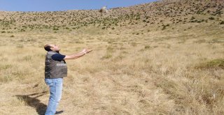 Kafes Avcılarına Büyük Ceza