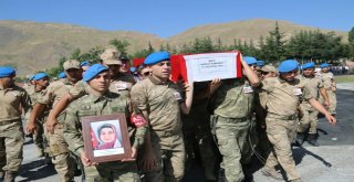 Şehit Anne Ve Bebeği İçin Tören Düzenlendi