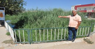 Vatandaşların Lağım Suyu Tepkisi