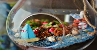 Teraryumlara Talep Patladı