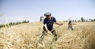 Başkentin Göbeğindeki Köyde Şenlik Var