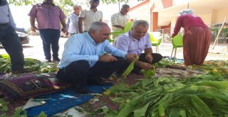 Milletvekili Taş, Besni İlçesini Köy Köy Geziyor
