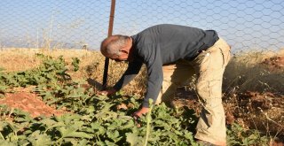Süryani Vatandaşının Örnek Köy Mücadelesi