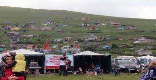 İmar Barışı Yaylalarda Elektrik Sorununu Da Çözecek