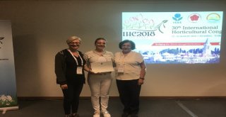 Öğretim Görevlisi Melisa Karaya Ödül