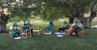 Dut Bahçesinde Mini Konser