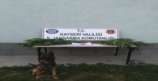 Jandarma Bayramda Da Uyuşturucuya Geçit Vermedi