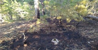 Emette Orman Yangınına Erken Müdahale Faciayı Önledi