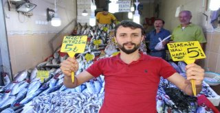 Balıkçılar Kestane Karasını Bekliyor