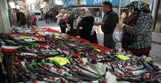 İneboluda Palamut 2 Liraya Düştü