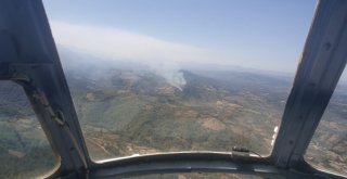 Bartında Ormanlık Alanda Yangın Çıktı