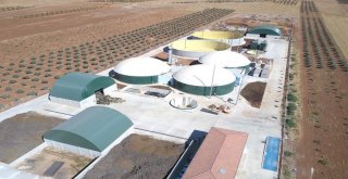 Gaziantepteki Biyogaz Tesisi Projesi Ödüle Layık Görüldü